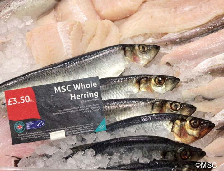 MSC「海のエコラベル」とは