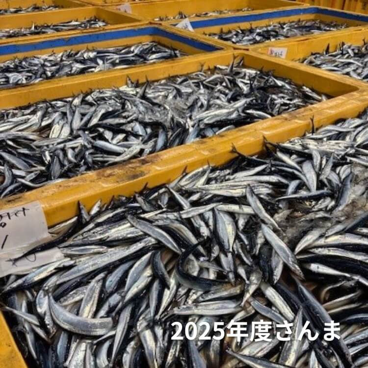 さんま水煮(フレッシュ原料限定)×3缶