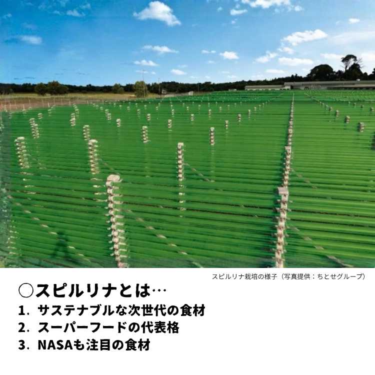 藻の味噌汁~スピルリナ~ ×8個