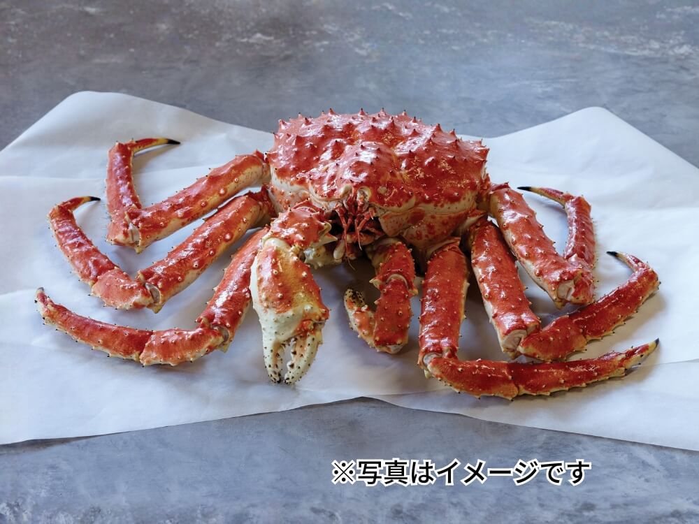 アラスカ産タラバガニ(1肩)