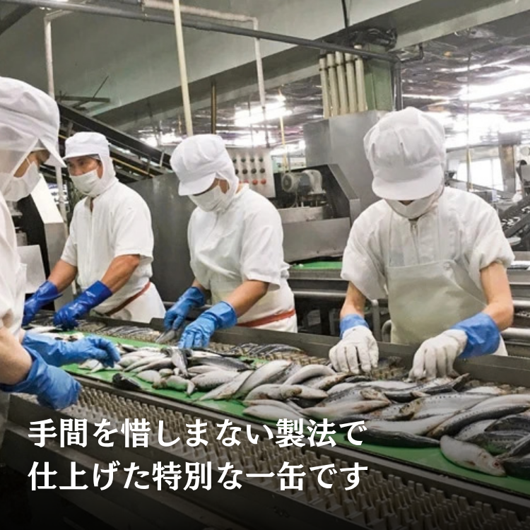 国産いわしレモンスープ缶詰×12 缶