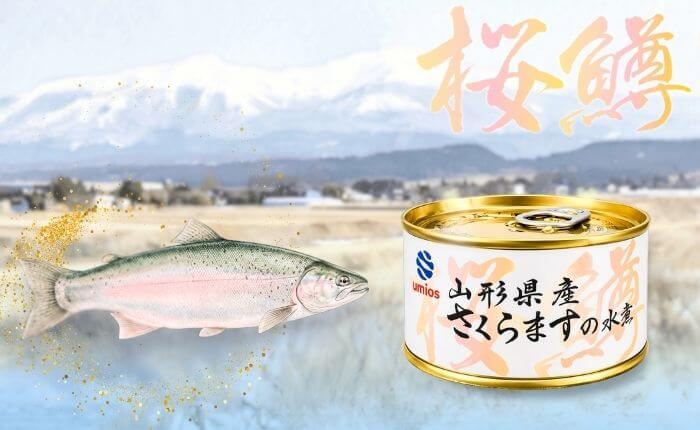 遊佐の湧水が育てた、国産養殖サクラマス
