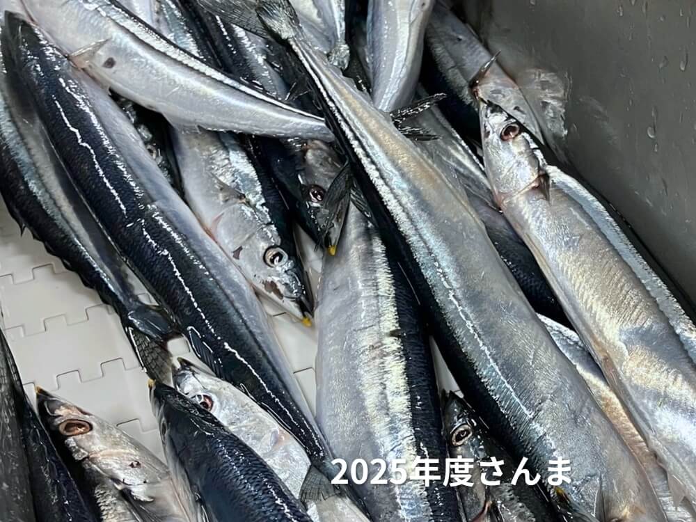 さんま水煮3缶｜北海道産フレッシュ原料使用｜Umios公式通販 – umios