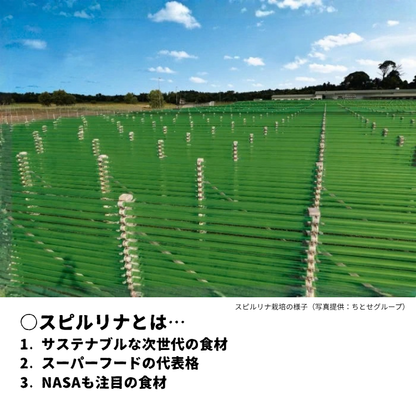 藻の味噌汁～スピルリナ～ ×8個