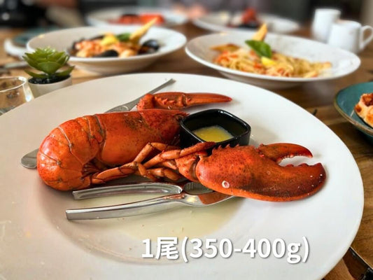 オマール海老 皿盛りイメージ