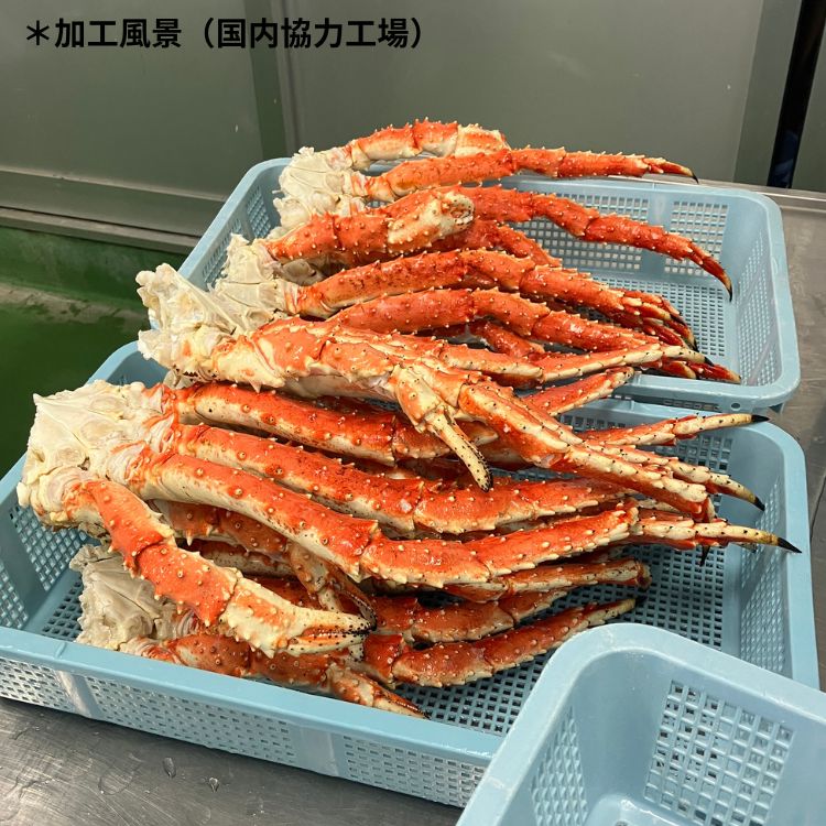 アラスカ産タラバガニ(１肩)