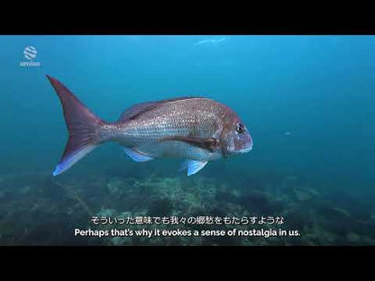 いま、海で何が起きているのか？｜umios Planet ドキュメンタリー 