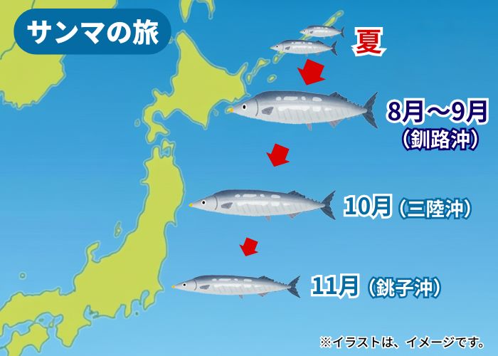 サンマの旅